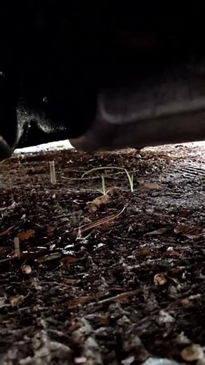 2005 Chevy Cobalt water pump leak