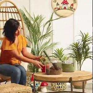 The Spring Shop® at Hobby Lobby®