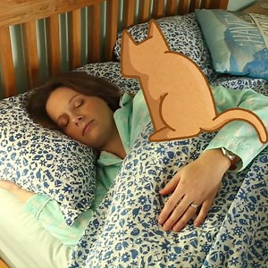 6.2K views · 628 reactions | When the clocks go back tonight, the dark evenings will start even earlier. Consider feeding your moggy a little earlier if possible and remember to change the timer on your cat flap if you have one, all to ensure your cat stays inside, safely at night. | Cats Protection | Facebook