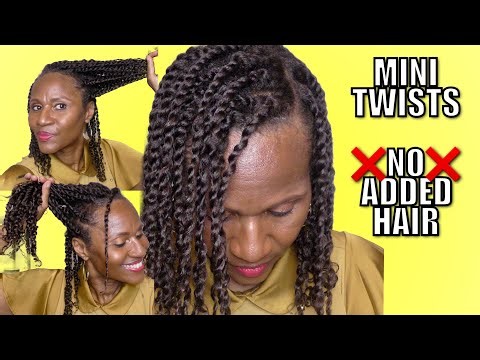 I Was Nervous to Try Mini Twists on My Fine Natural Hair | No Added Hair