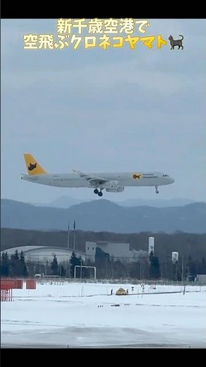 新千歳空港で着陸する、空飛ぶクロネコヤマトの宅急便 貨物専用機