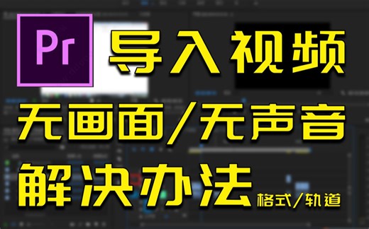 pr导入视频无画面或声音解决办法