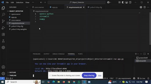 Real-time Object Detection with YOLOv3-Tiny and OpenCV in Python | Deepika Parasa posted on the topic | LinkedIn
