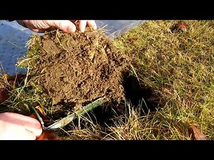 FIRST DIG WITH HARBOR FREIGHT 9 FUNCTION METAL DETECTOR