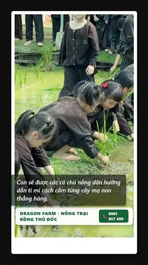 Trải Nghiệm Cấy Lúa Cực Vui Cho Bé Tại Nông Trại Rồng Thủ Đức