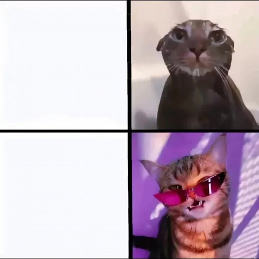 Exploring the Art of Furry Animation Memes