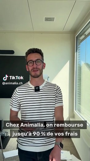 Animalia – Votre assurance animaux idéale