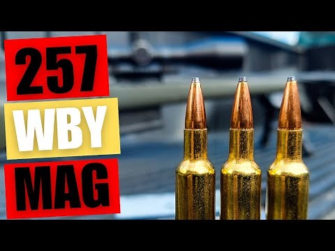 257 WBY MAG - First Shots and Sighting In [Weatherby Model 307 Range XP]