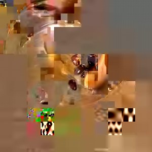 5.3M views · 17K reactions | Indian Secret Oil To Get Super Long Hair, Thicker Hair (Stop Dandruff & Dry Damaged Hair ) Join: Simple Beauty Secrets | Simple Beauty Secrets | Facebook