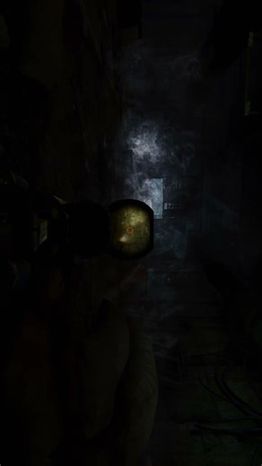 Best friend for diversant is high contrast vision scope for weapon - METRO LAST LIGHT Redux.
