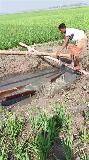 4081.Beautiful picture irrigation scene