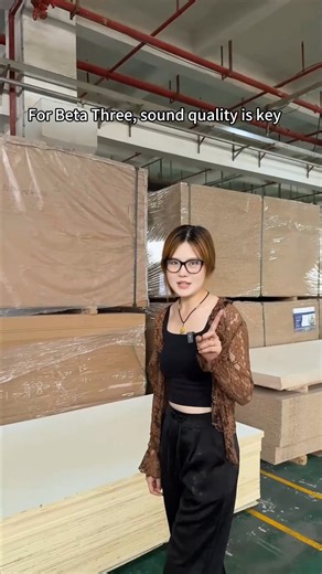 Here's the reason why do most line array speaker enclosures use wood!#betathree #speaker #linearrayspeaker #audio #sound #foryou #viral | Beta Three