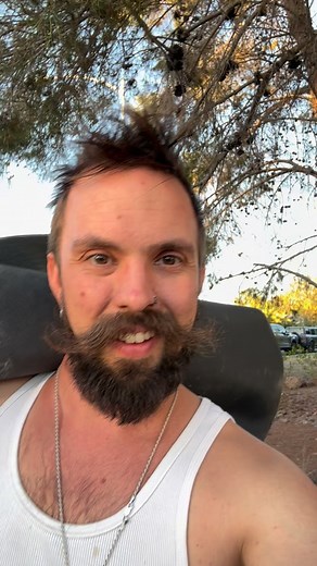 1.1K views · 34 reactions | #Code enforcement says we’re good to go. Case closed, no funny business, no fees. Tell me what you think we should add to the front yard. I’m gonna call the Code enforcement guy and see what they think about tree nets #cats #dreamhome #maliciouscompliance | Joel Ruud | Facebook