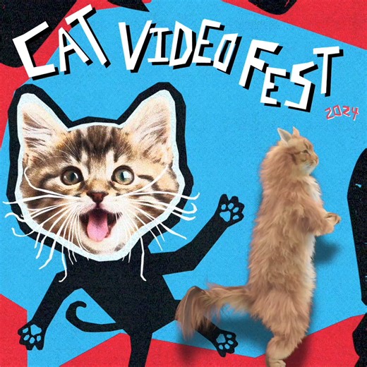 Calling all cat lovers or anyone who wants a good laugh! Cat Video Fest is coming to Event Cinemas from October 17 for a limited time only. 10% of all ticket sales go to local cat shelters so book your tickets meow. | Event Cinemas