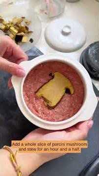 Homemade Dog Food Recipe: Qilian Lamb & Porcini Mushroom Feast 🥩🐶