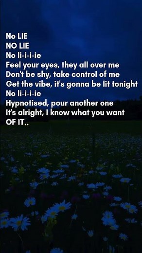 No Lie (Lyrics) 🔥 | Feel Your Eyes on Me ❤️ | English Song Lyrics