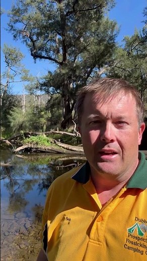 There is still good gold at Ophir nsw