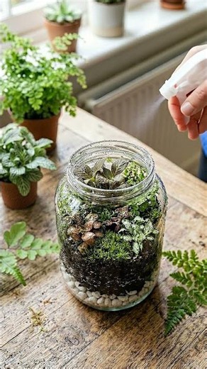 DIY Miniature Ecosystem! 🌿✨ | How to Build a Beautiful Indoor Terrarium