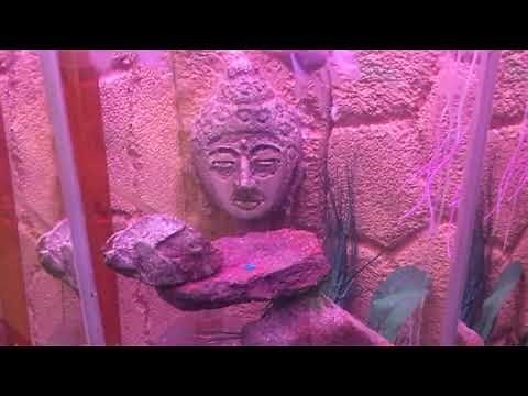 How to glue Rocks Together