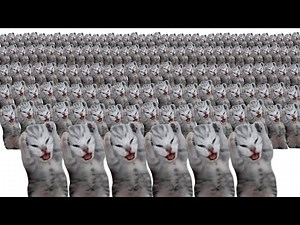 dramatic kitten meme x10000000