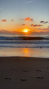 63K views · 2.5K reactions | Let the waves hit your feet, and the sand be your seat. | The Beach Is My Happy Place | Facebook