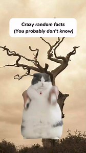 19K views · 541 reactions | Crazy random facts, You probably don't know | Simply Stated History | Facebook