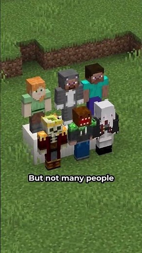 Secret Bases in Minecraft Cave