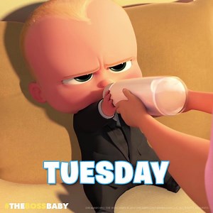 We finally made it to Saturday! This weekend, re-live all your favourite stories with the entire Dreamworks collection! Available now on DVD. | The Boss Baby