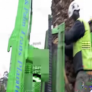 996K views · 6K reactions | Palm Tree Transplanting | Friendly machines | Facebook