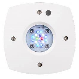 Prime 16 HD LED Reef Light - White Body
