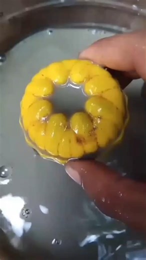 Satisfying ASMR Cleaning Old Jelly Container 💡✨ | Relaxing Sleep Sounds #satisfying