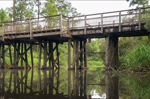 Best bike trail in Louisiana Tammany Trace | The Heart of Louisiana