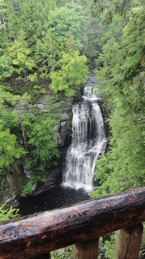 The Best Overlook Spot | Waterfall Hiking Trail #pennsylvania #hikingadventures