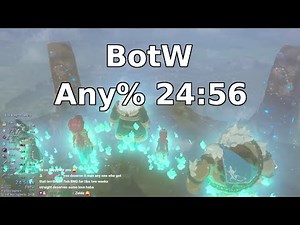 BotW Any% 24:56 [Former WR]