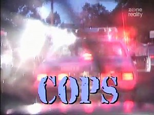 Cops S05E14 - Dailymotion Video