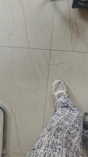 彭彭与丁满历险记 #狮子王 #彭彭和丁满