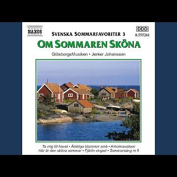 Här är den sköna sommar