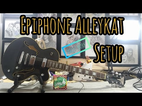 Setup Epiphone Alleykat