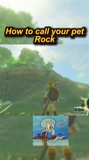 How To Call Your Pet Rock #spongebob #zelda #botw