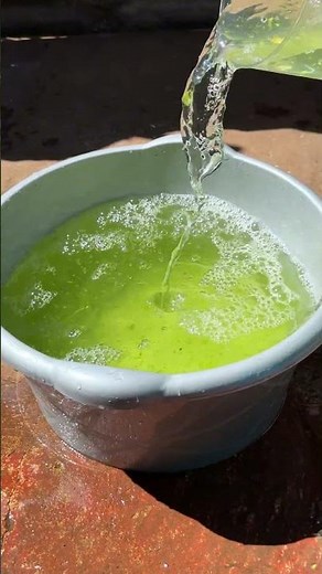 How to use aloe vera as homemade fertilizer for plants