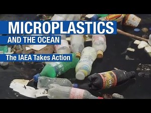 Microplastics And Marine Life