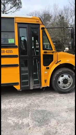 My 1st year driving school bus 3 years ago!