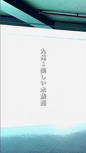 九州1美しい水族館