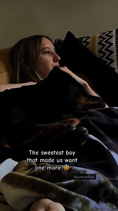 4.4K views · 40K reactions | #rottweiler #rottweilersoftiktok #cutedog | MJ Rottweilers | Facebook