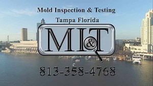 Mold Inspection & Testing Bradenton Florida