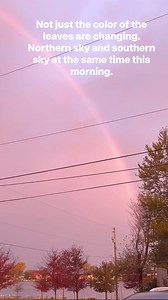 2.5K views · 95 reactions | Hidden Beach Bar on Reels | Facebook