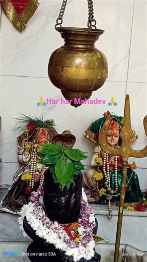 🙏 Har har Mahadev 🙏 #omnamahshivaya #om #shorts