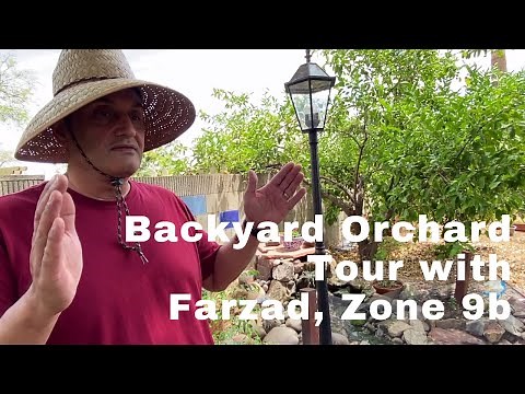 Backyard Orchard Tour 60+ Tropical Fruit trees, Zone 9b with Farzad, Edible Landscape
