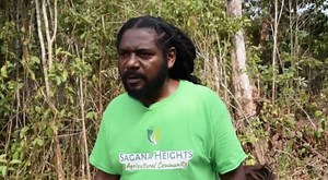 12K views · 266 reactions | [Land activist Nigel Petillo calls out Minister of Lands: Please pick up the phone] Land Activist Nigel Petillo is upset with the Minister of Lands, Hon. Cordell Hyde, after failing to return his phone calls. Ljay Wade has that story. | PLUSTV BELIZE | Facebook