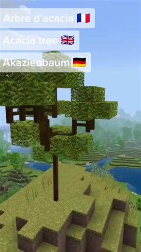 Comment faire un Arbre d'acacia sur Minecraft ?